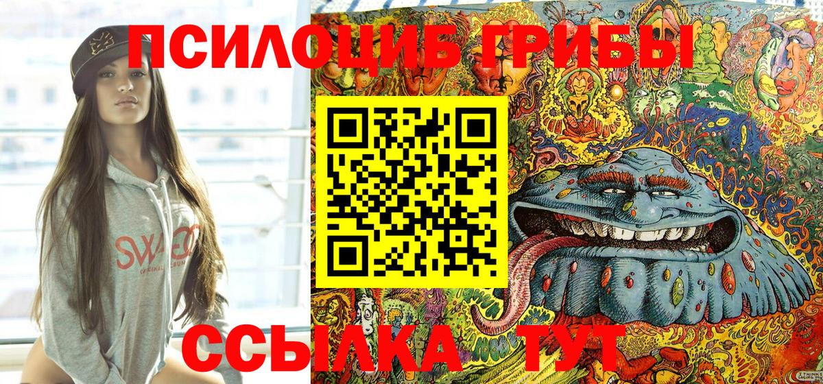 Псилоцибиновые грибы прущие грибы  Галлюциногенные грибы Cubensis  Пугачёв  купить  сайты  Вход с VPN 